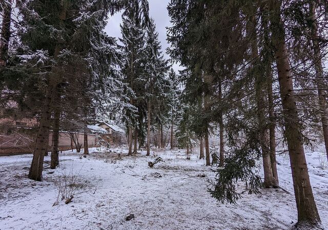 земля 16 км, коттеджный пос. Рублёвский, Красногорск, Рублёво-Успенское шоссе фото