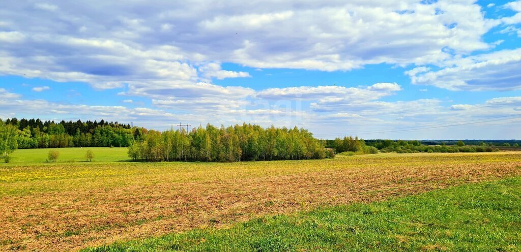 земля р-н Мокроусовский с Старопершино фото 2