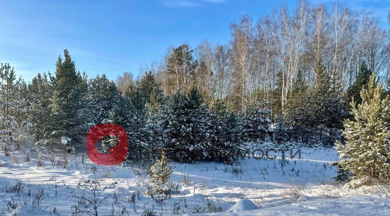 земля р-н Тюменский д Насекина ул Центральная фото 6