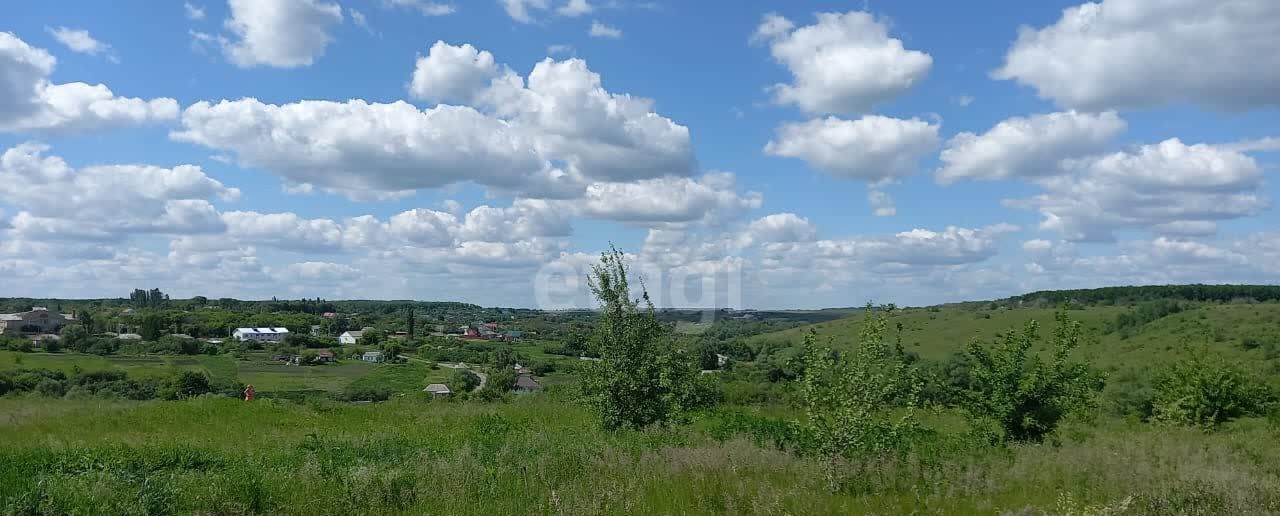 земля р-н Рамонский с Русская Гвоздевка Русскогвоздёвское сельское поселение, Воронеж фото 2