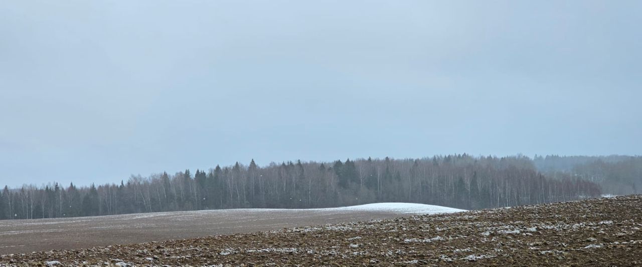 земля городской округ Сергиево-Посадский Новопальчино тер фото 7