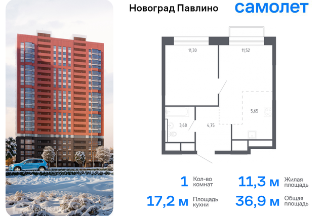 Балашиха городской округ, Новое Павлино м-н фото