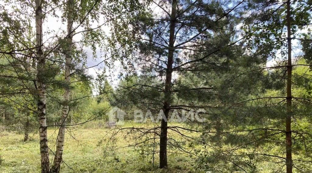 земля г Владимир р-н Октябрьский снт Заречье 130 фото 4
