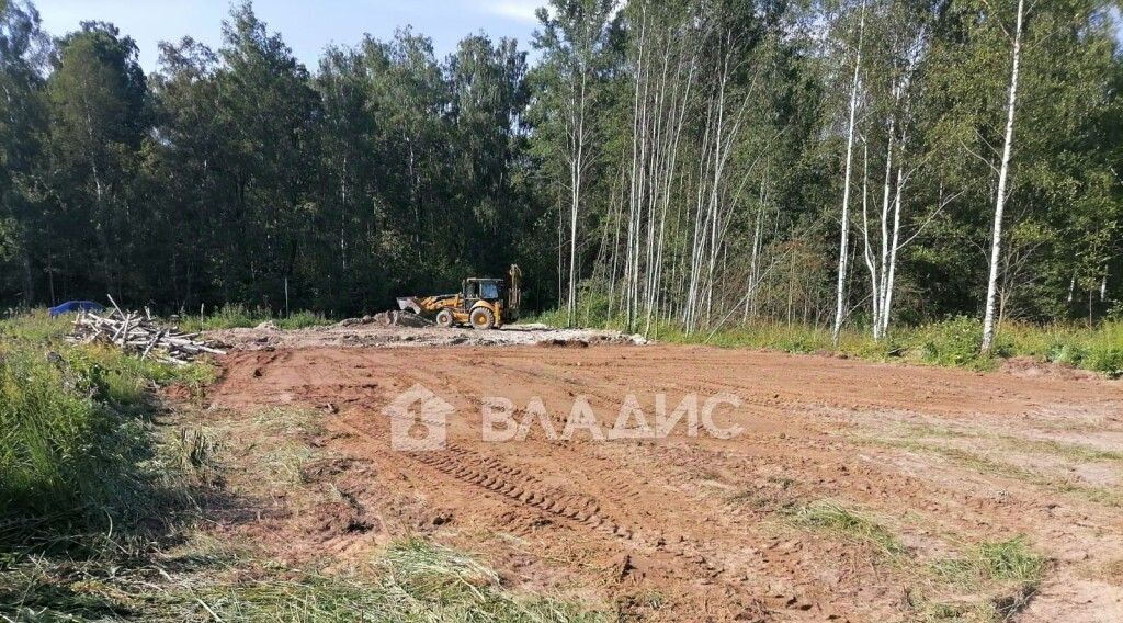 земля г Владимир р-н Октябрьский Лунево ул Лунёвская 37 фото 1