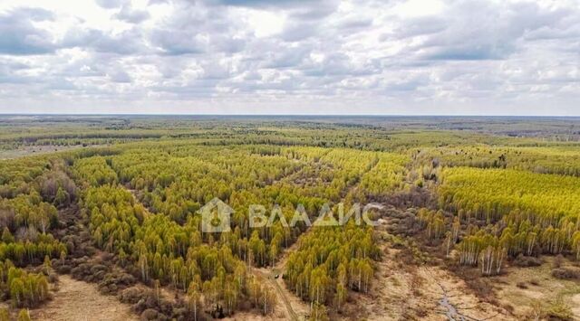 д Кощеево Головинское муниципальное образование фото