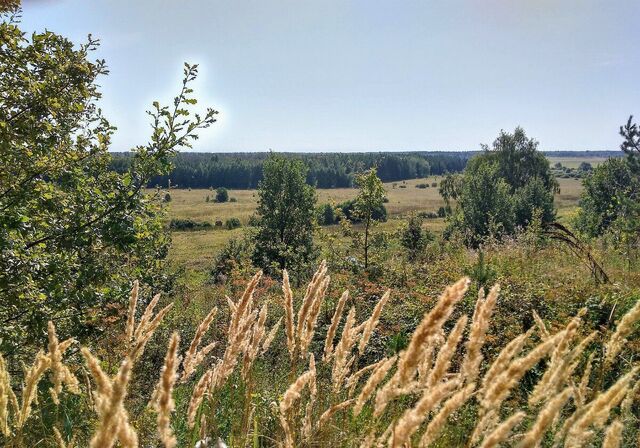 Старосахчинское сельское поселение, Димитровград фото