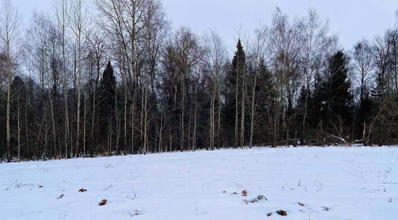 земля городской округ Истра д Карцево фото 17