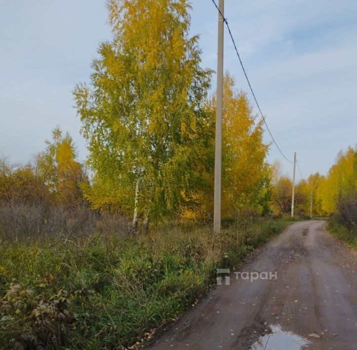 земля г Копейск снт Березка-4 фото 4