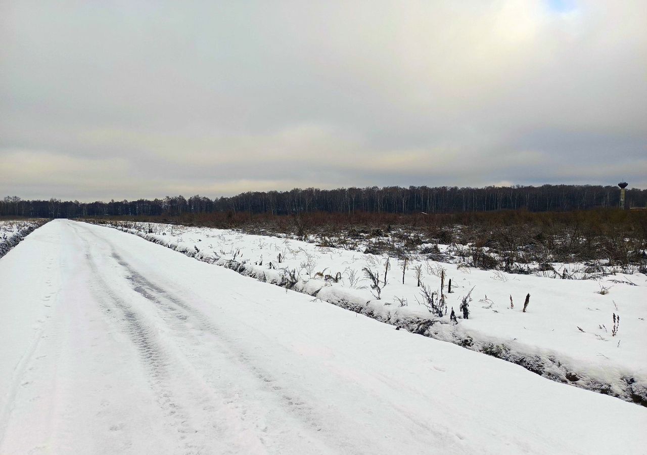 земля городской округ Домодедово д Гальчино 37 км, Домодедово, Новокаширское шоссе фото 2