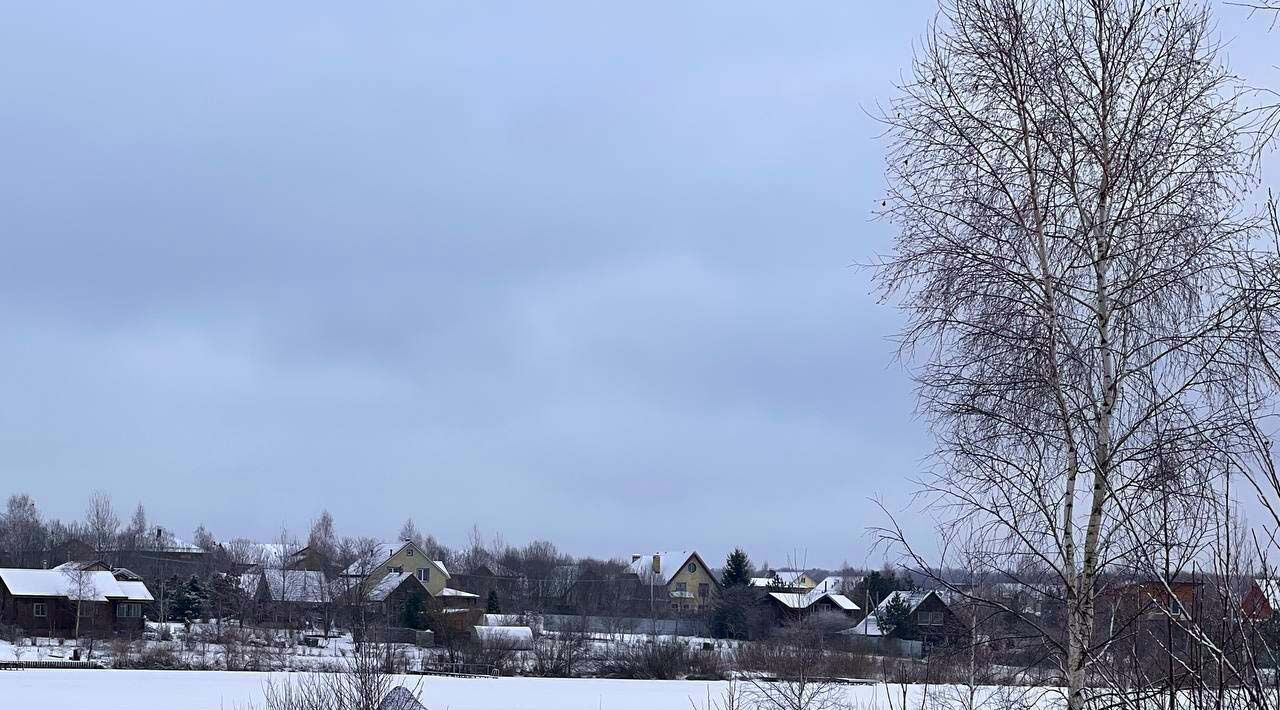 земля городской округ Чехов д Филипповское фото 8