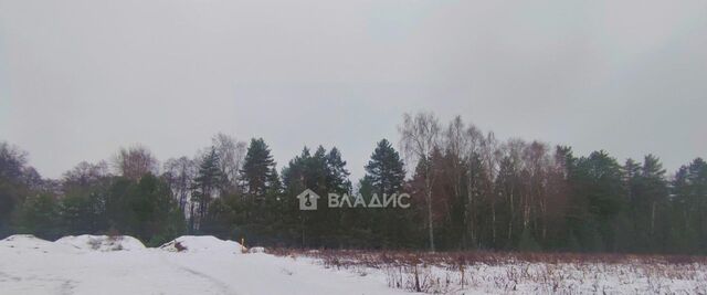 ул Березовая 5 Боголюбовское муниципальное образование фото