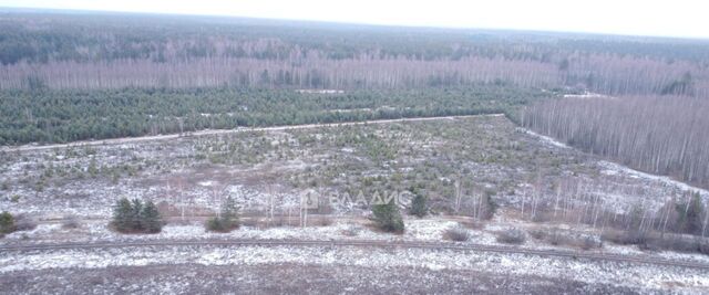 ул Красновосходская 2 Волосатовское муниципальное образование фото