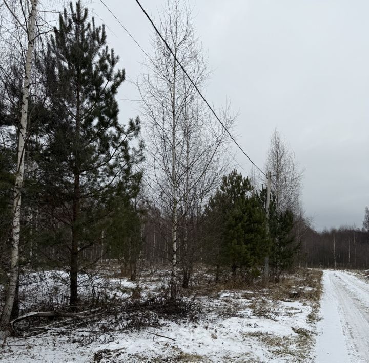 земля г Владимир д Никулино ул Извилистая р-н Октябрьский фото 3