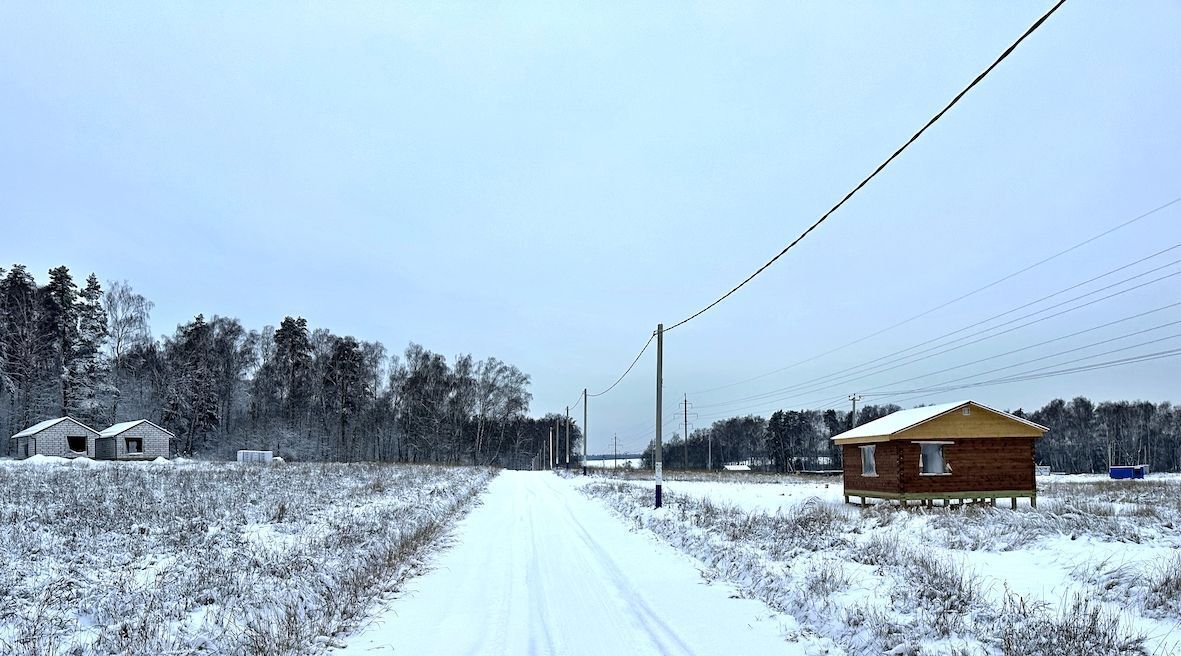 земля городской округ Раменский д Нижнее Мячково Удельная фото 2