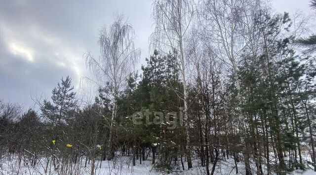 снт Лесная поляна Айдаровское с/пос фото