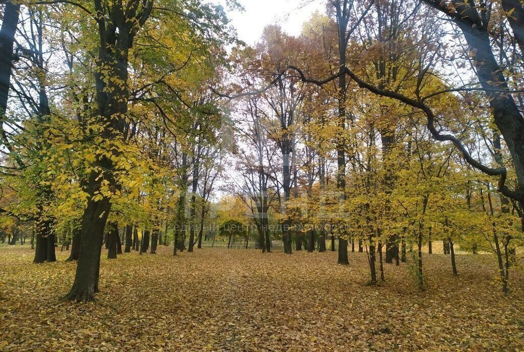 квартира г Санкт-Петербург метро Автово ул Пограничника Гарькавого 14к/2 фото 18