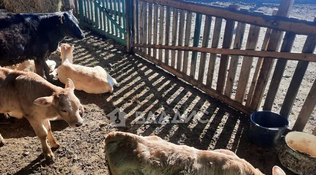 производственные, складские р-н Судогодский д Каменец Головинское муниципальное образование, ул. Центральная фото 25