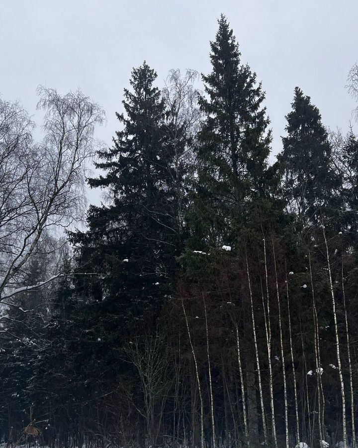 земля городской округ Солнечногорск д Бережки 45 км, Солнечногорск, Пятницкое шоссе фото 5