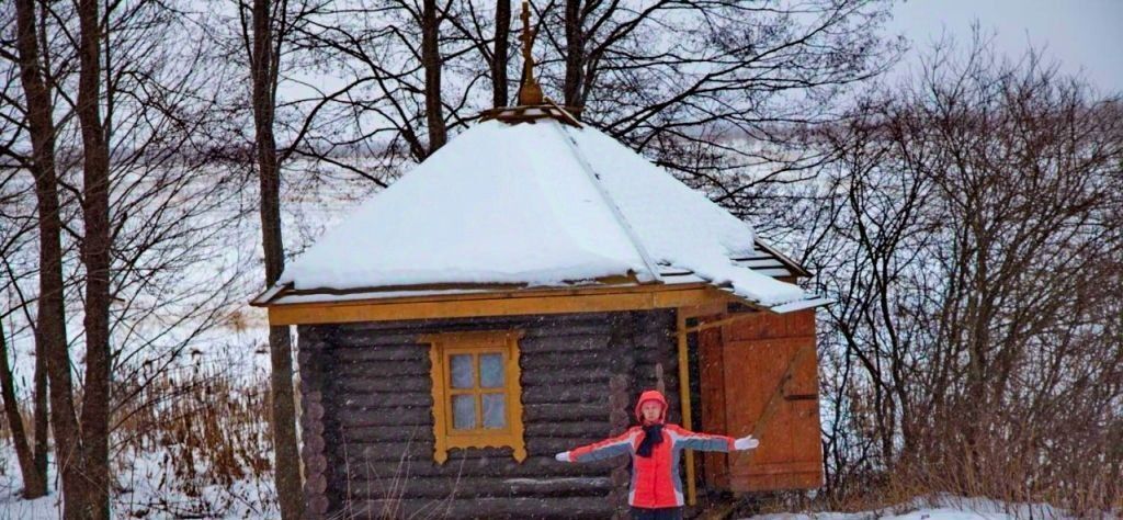 дом р-н Ардатовский с Канерга ул Покровская 11 фото 17