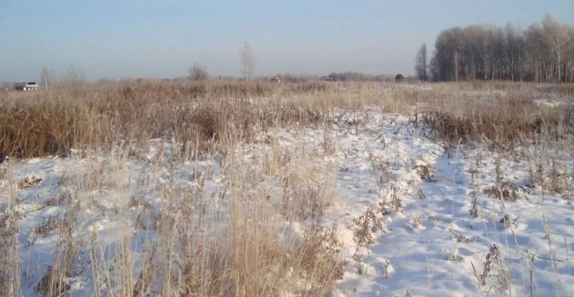 земля р-н Тукаевский с Ильбухтино пер Новый Республика Татарстан Татарстан, Малошильнинское сельское поселение, Набережные Челны фото 1