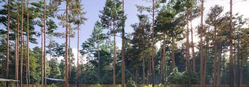 квартира г Екатеринбург п Широкая Речка Чкаловская ЖК «Лес» фото 6