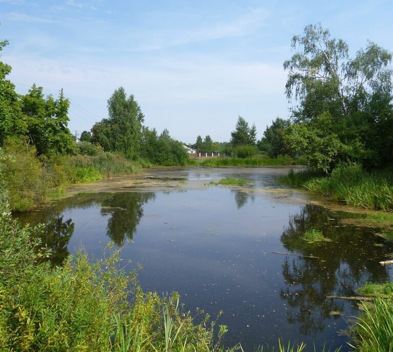 земля городской округ Дмитровский д Федоровка коттеджный посёлок Подъячево ИЖС фото 4