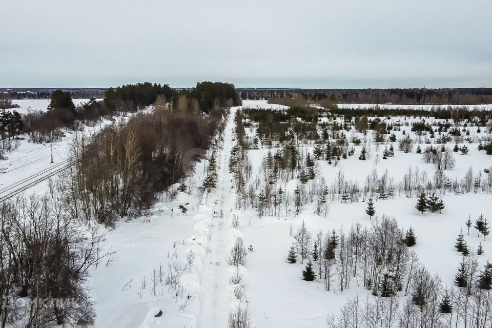 земля р-н Гатчинский фото 1