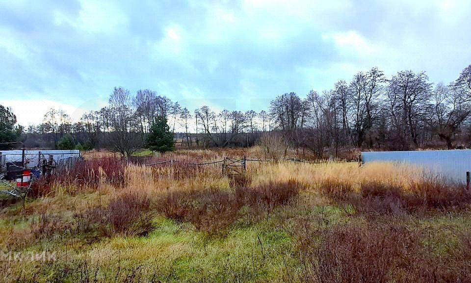 земля городской округ Орехово-Зуевский д Заволенье ул Юбилейная фото 3