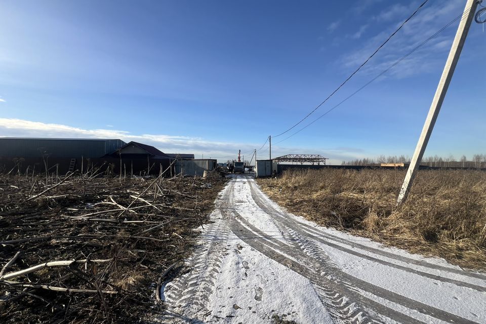 земля городской округ Домодедово д. Голубино фото 4