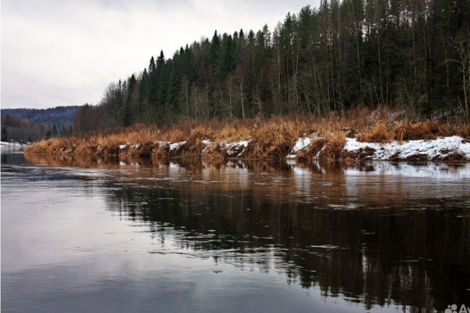 земля р-н Лодейнопольский д. Кургино Алёховщинское сп фото 2