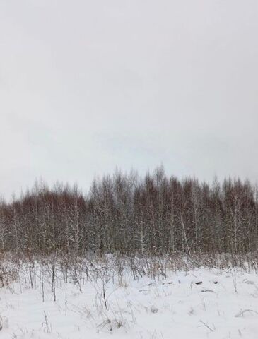 земля городской округ Талдомский г Талдом пл К.Маркса фото