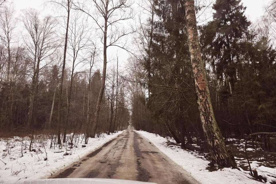 земля городской округ Истра СПК Солнечная поляна, Москва фото 5