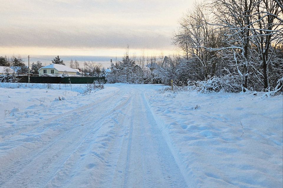 земля р-н Гатчинский пос. Торфопредприятие фото 6