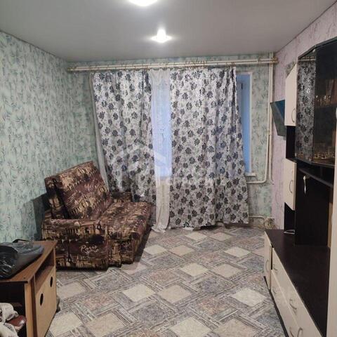 дом 23 р-н Петродворцовый Ленинградская область фото дом 23 р-н Петродворцовый Ленинградская область фото