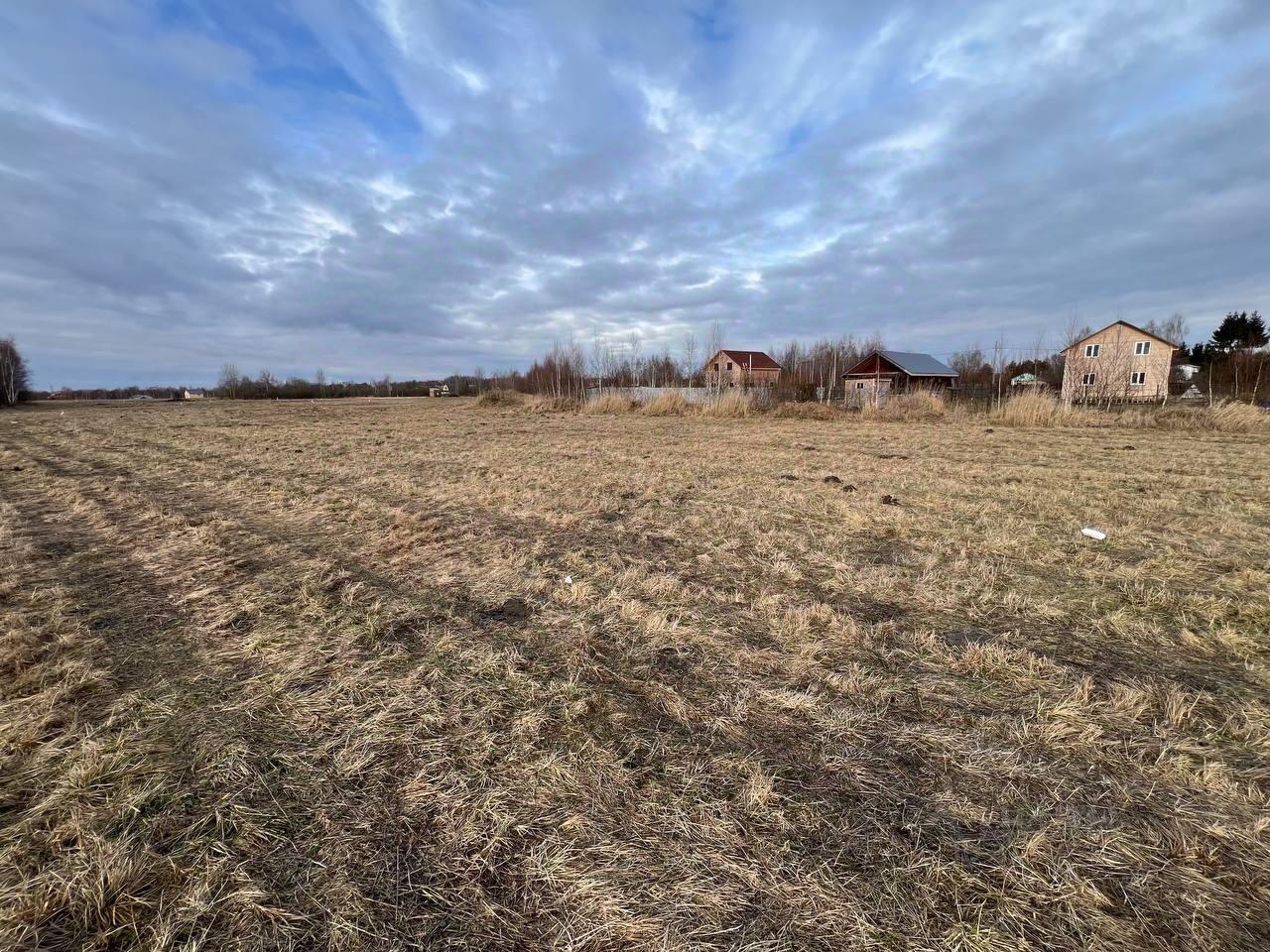 земля городской округ Орехово-Зуевский д Дровосеки Орехово-Зуево, Казанская улица фото 3