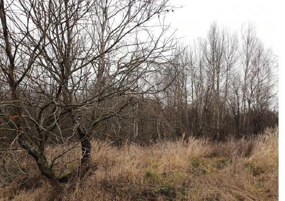 земля городской округ Дмитровский д Харламово фото 1