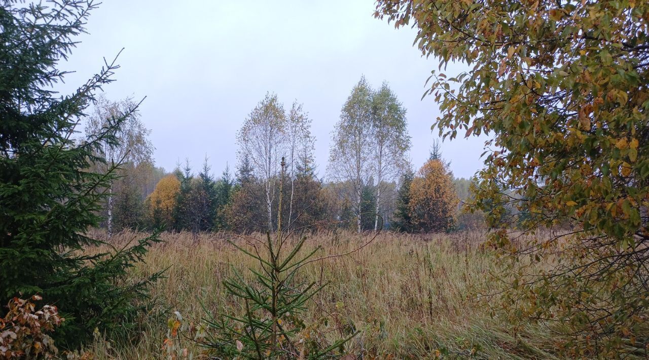 земля городской округ Наро-Фоминский д Новозыбинка фото 1