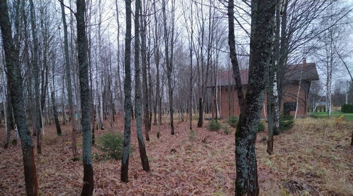 земля городской округ Истра п станции Манихино Надежда кп, Нахабино фото 5