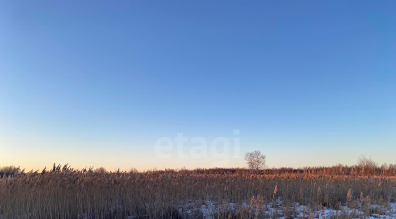 земля городской округ Рузский ИЖС в Рузском Районе кп фото 4