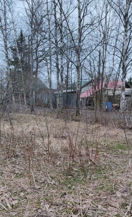 земля г Санкт-Петербург снт тер.имени Я.М.Свердлова Беговая, ул. Северная фото 3