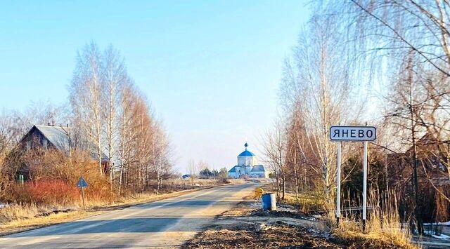 с Янево Селецкое муниципальное образование фото