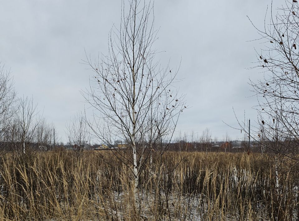 земля городской округ Луховицы п Совхоза Астапово ул. Лукина фото 1