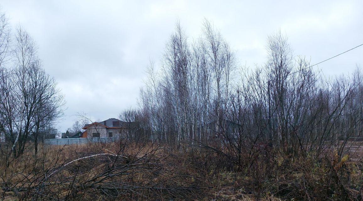 земля городской округ Наро-Фоминский д Афанасовка ул Главная фото 1