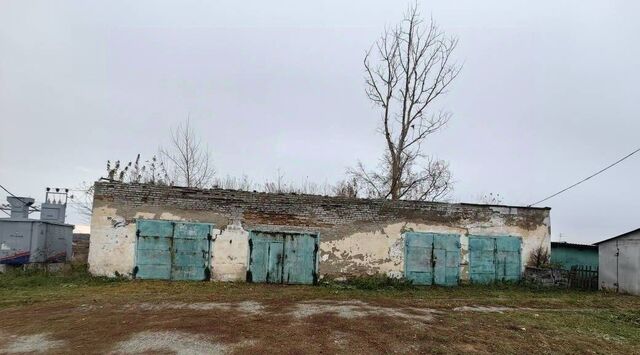 р-н Тогучинский с Лекарственное ул Центральная фото