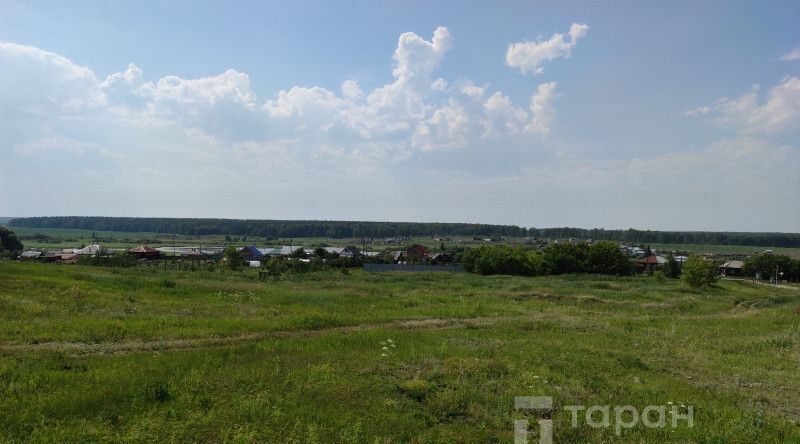 земля р-н Чебаркульский д Запивалово ул Молодежная 19д Шахматовское с/пос фото 2