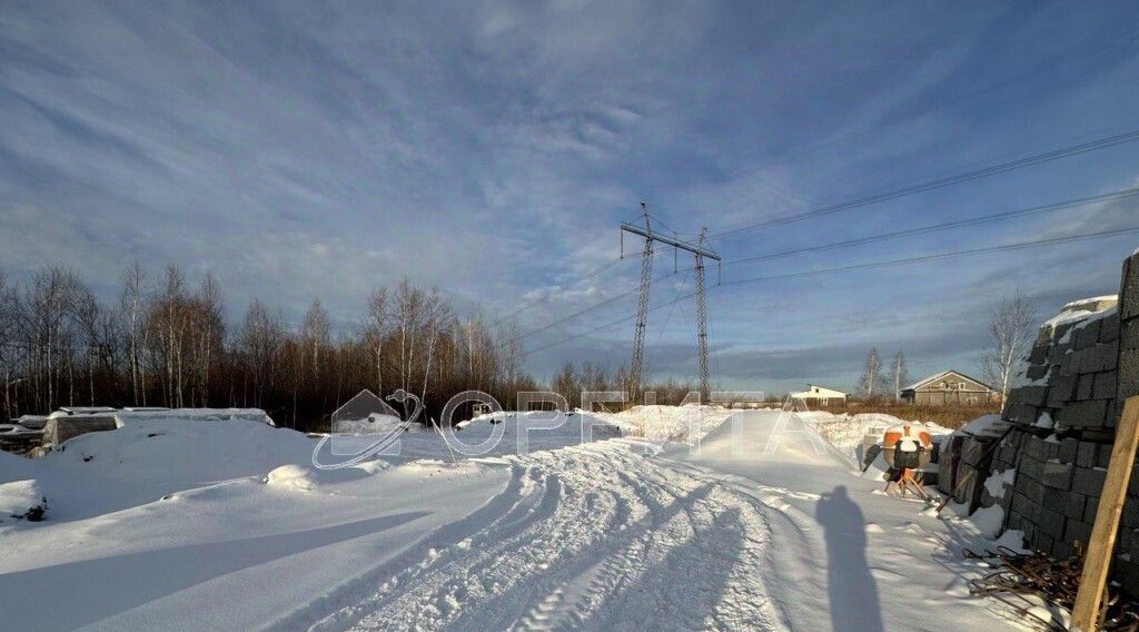 земля г Тюмень р-н Центральный снт Луч ул Высоковольтная фото 3