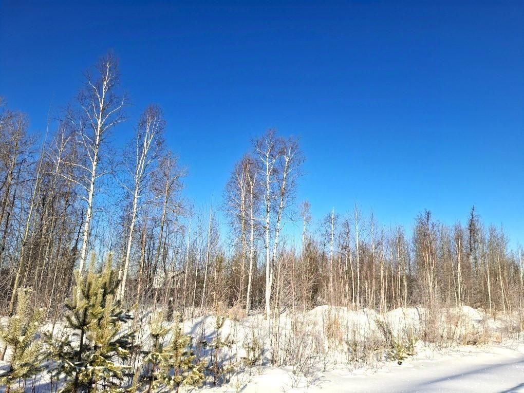 земля г Березовский снт Дачник ул. Тополиная фото 3