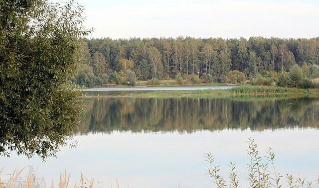 направление Горьковское (восток) ш Горьковское 40 км, Электросталь фото