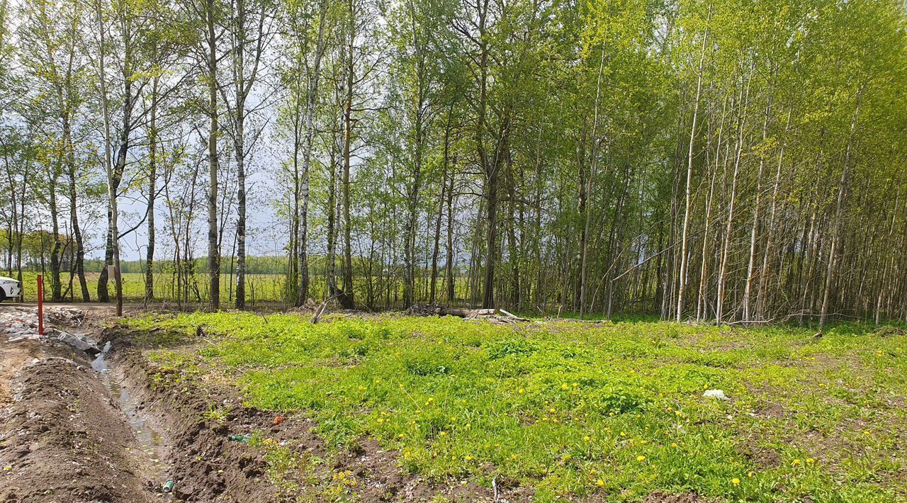 земля городской округ Раменский д Вороново ул Снежинка фото 1