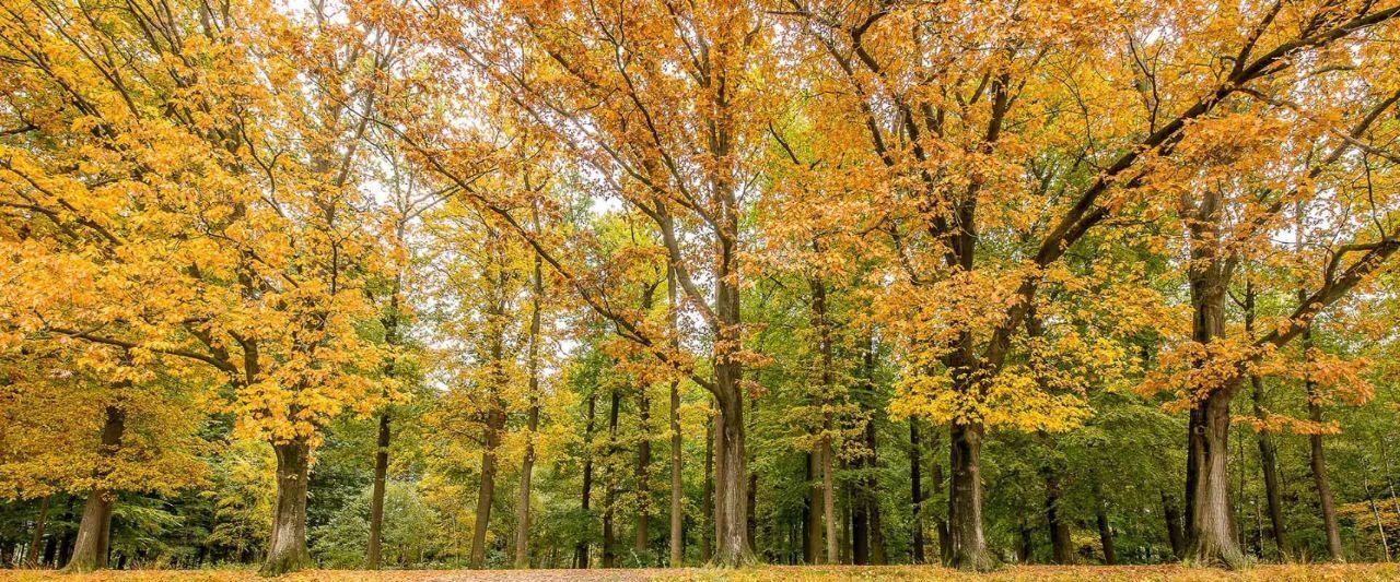 свободного назначения г Колпино ул Загородная 71д метро Рыбацкое фото 7